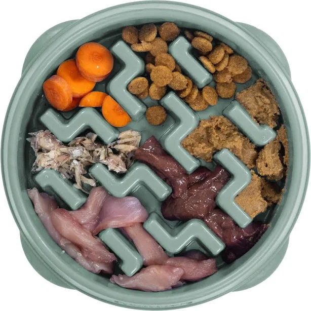 Outward Hound Fun Feeder Slo Bowl Slow Feeder Dog Bowl