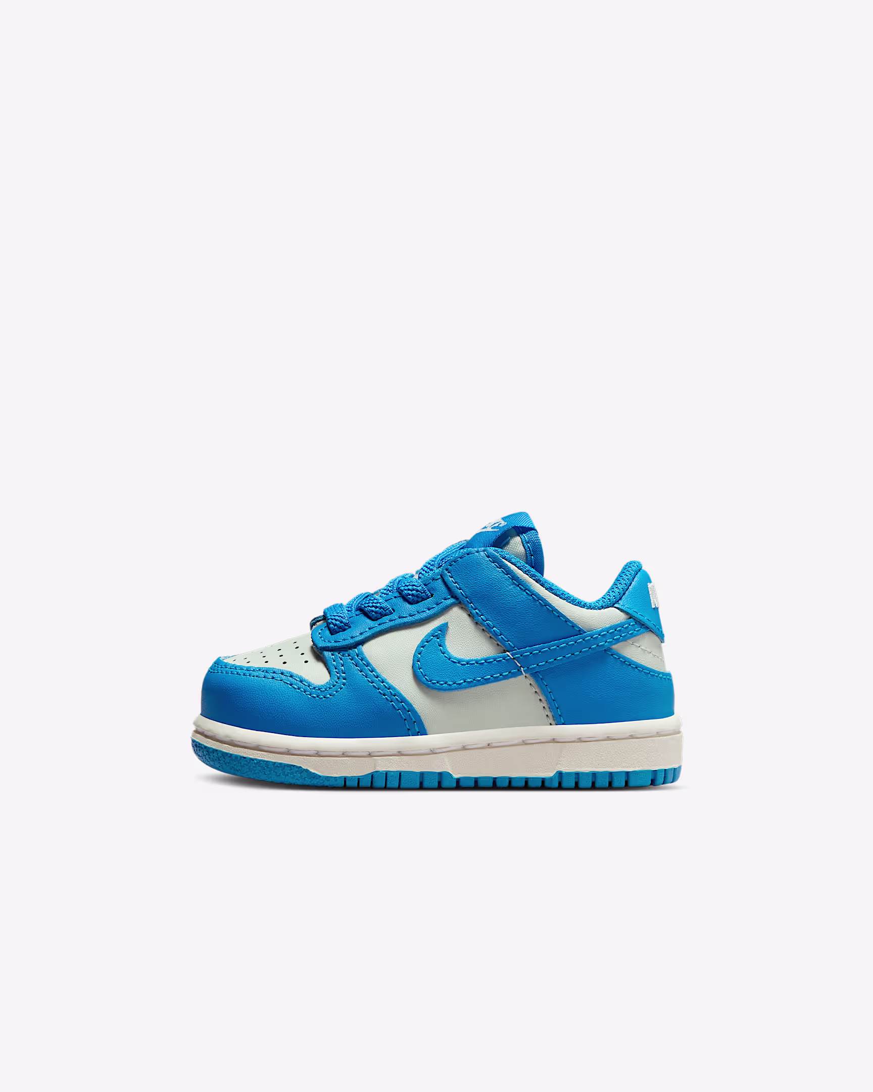 Nike Dunk Low Toddler Sneakers